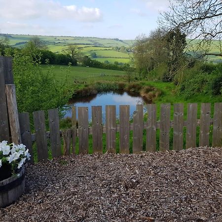Eco Accommodation Cornflower Craven Arms Exteriér fotografie