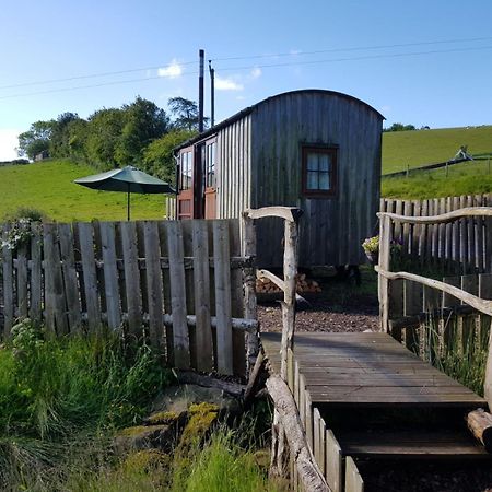 Eco Accommodation Cornflower Craven Arms Exteriér fotografie