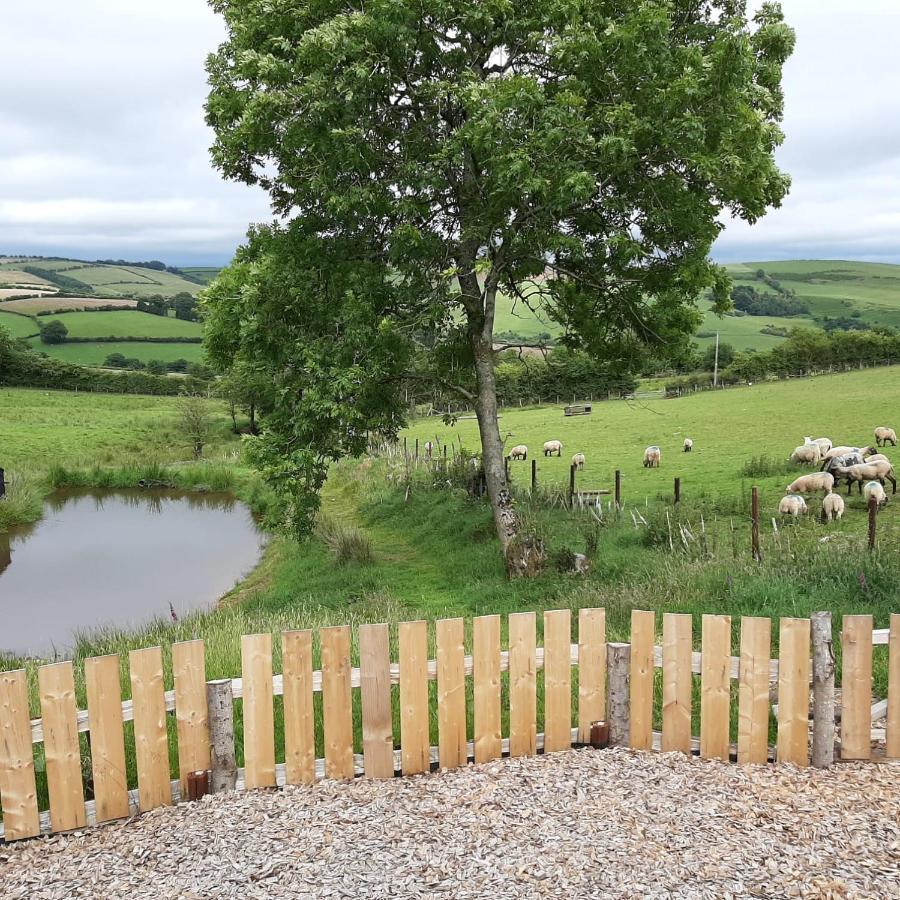 Eco Accommodation Cornflower Craven Arms Exteriér fotografie