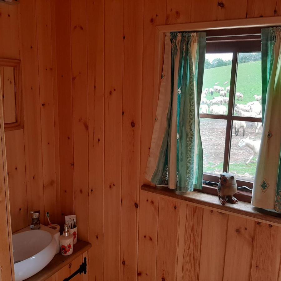 Eco Accommodation Cornflower Craven Arms Exteriér fotografie