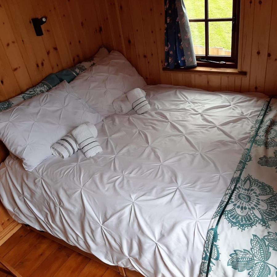Eco Accommodation Cornflower Craven Arms Exteriér fotografie