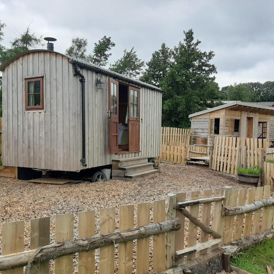 Eco Accommodation Cornflower Craven Arms Exteriér fotografie