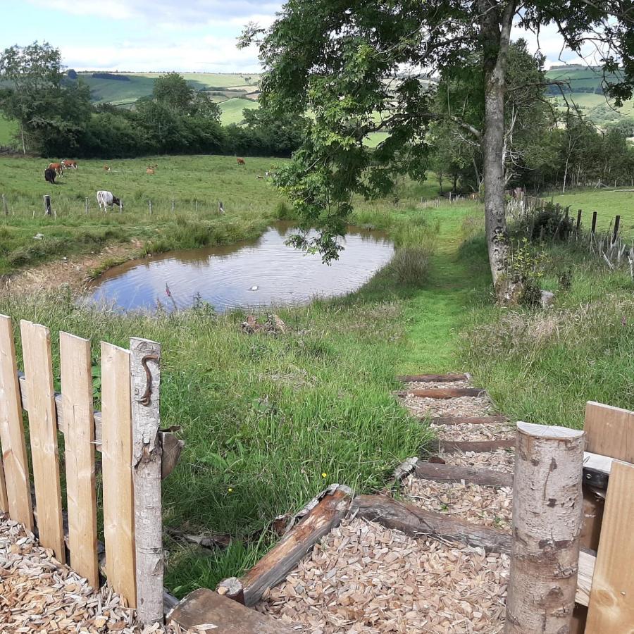 Eco Accommodation Cornflower Craven Arms Exteriér fotografie