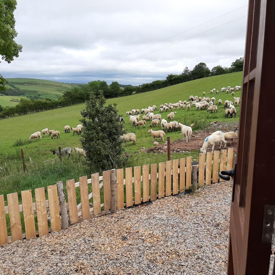 Eco Accommodation Cornflower Craven Arms Exteriér fotografie