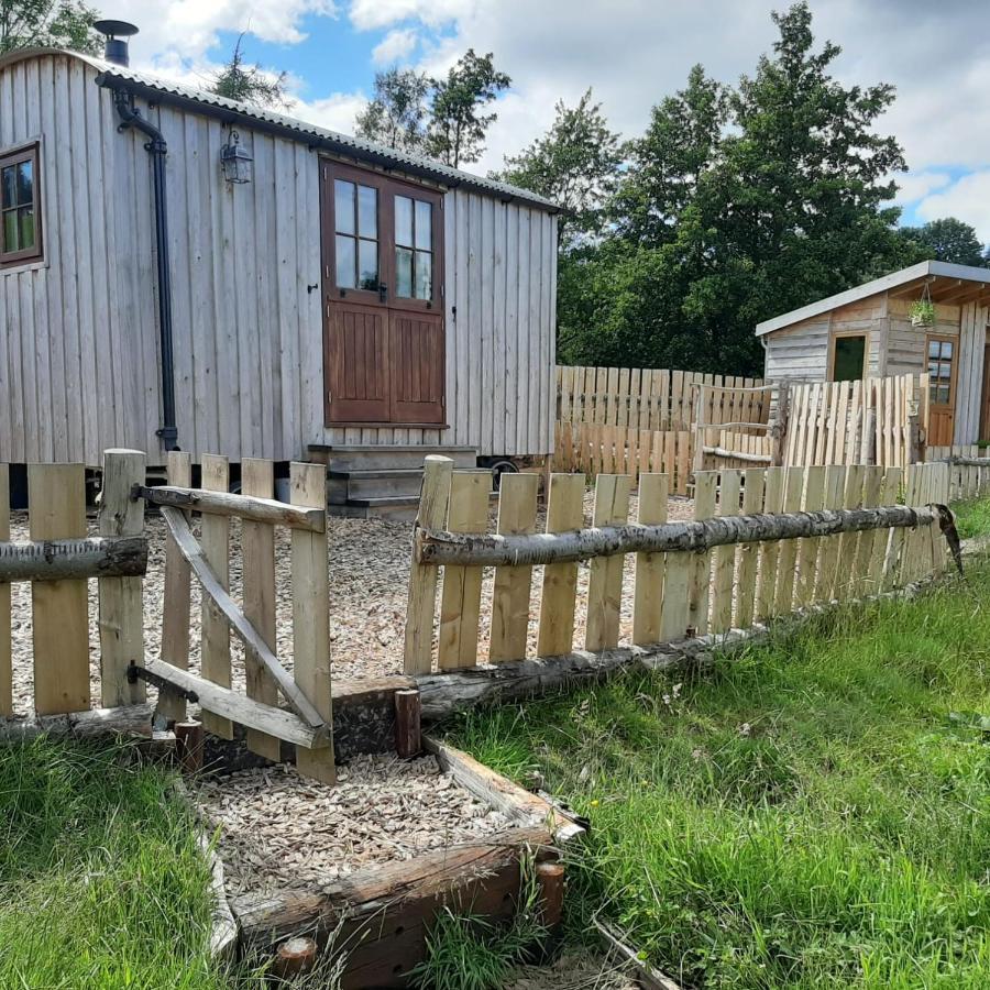 Eco Accommodation Cornflower Craven Arms Exteriér fotografie