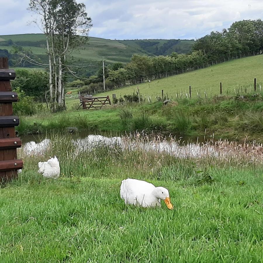 Eco Accommodation Cornflower Craven Arms Exteriér fotografie