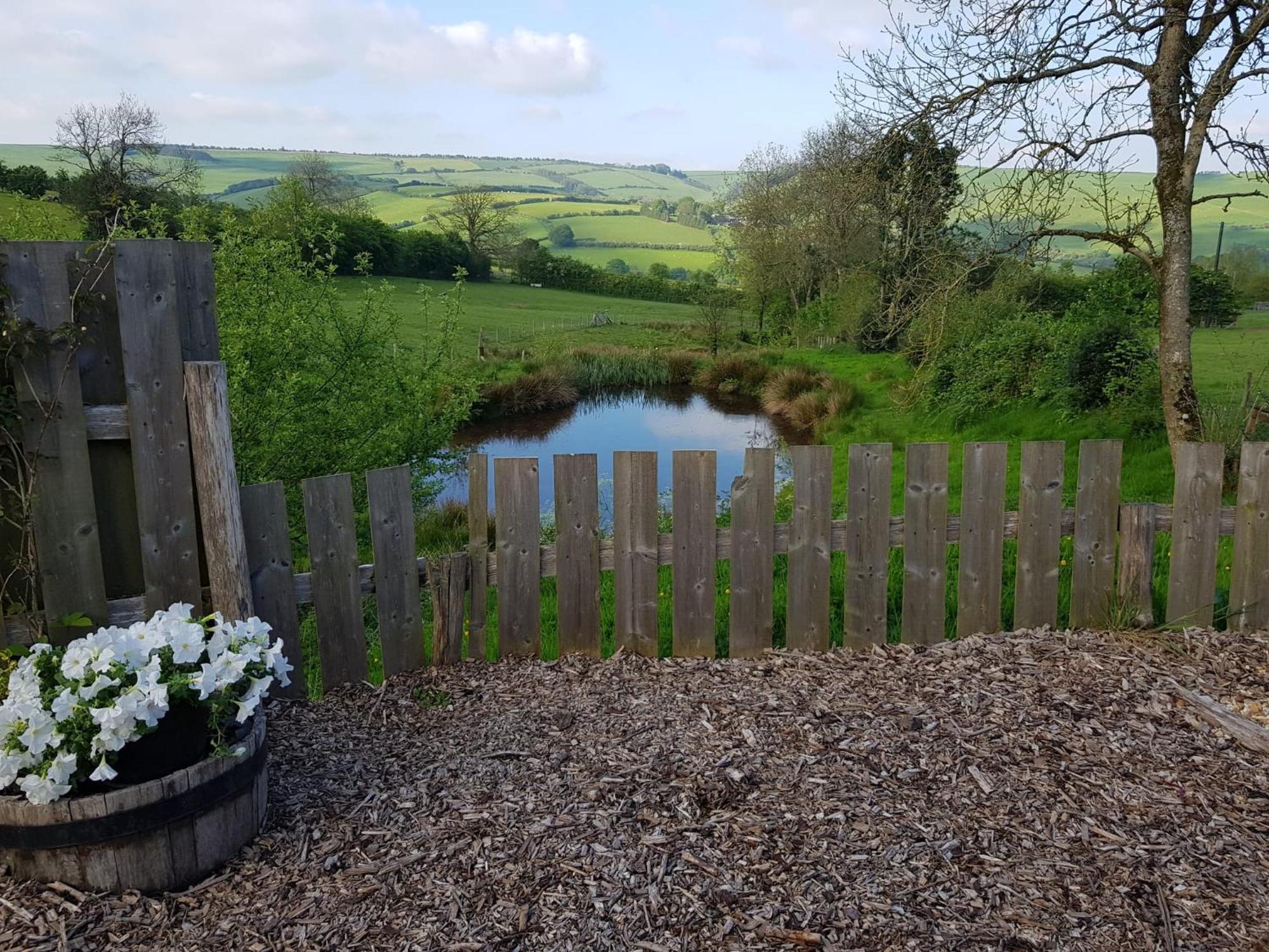 Eco Accommodation Cornflower Craven Arms Exteriér fotografie