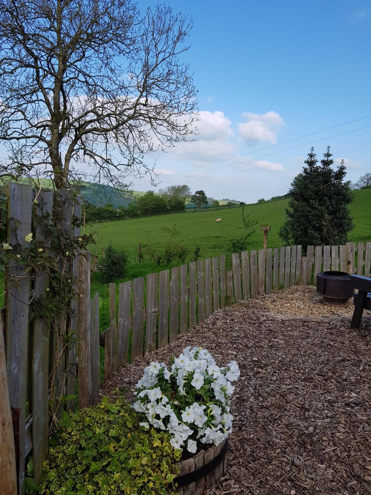 Eco Accommodation Cornflower Craven Arms Exteriér fotografie