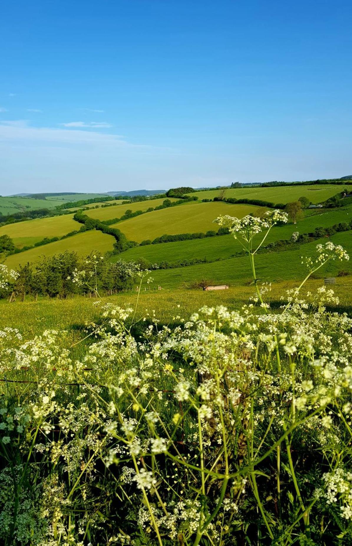 Eco Accommodation Cornflower Craven Arms Exteriér fotografie