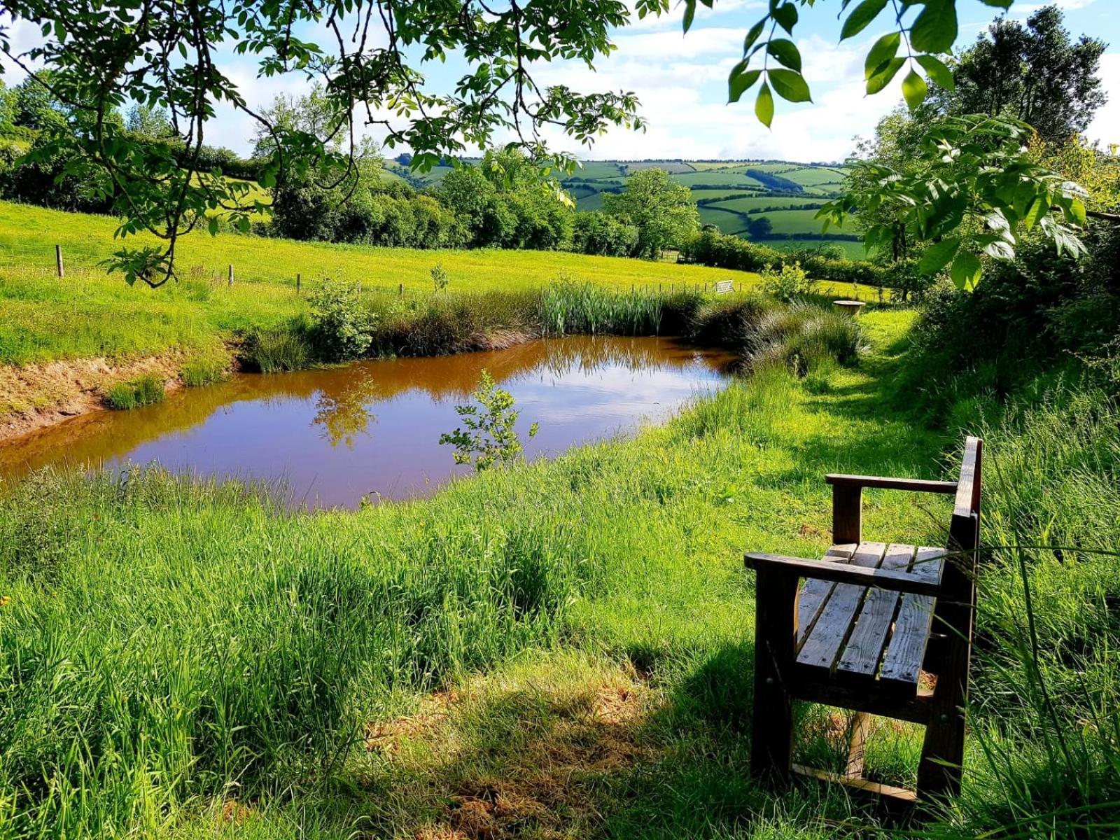 Eco Accommodation Cornflower Craven Arms Exteriér fotografie